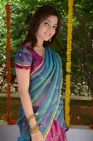 Nisha Agarwal Saree Photos